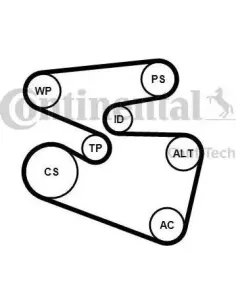 Juego de correas trapeciales poli V