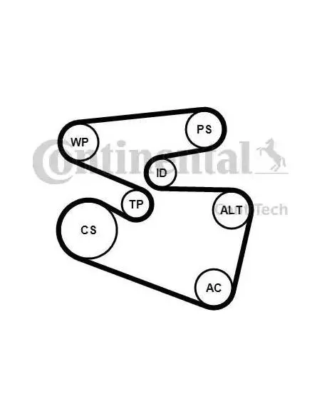 Correa auxiliar Poly-V Continental 6PK1555K3 6 canales 1555 mm