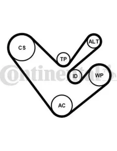 Juego de correas trapeciales poli V