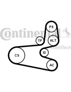 Juego de correas trapeciales poli V