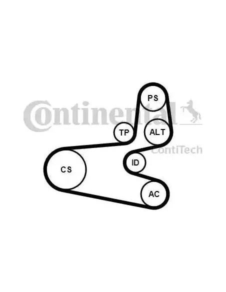 Correa auxiliar Poly-V Continental 6PK1560K1 6 canales 1560 mm