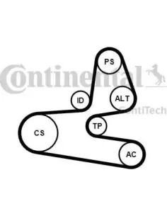 Juego de correas trapeciales poli V
