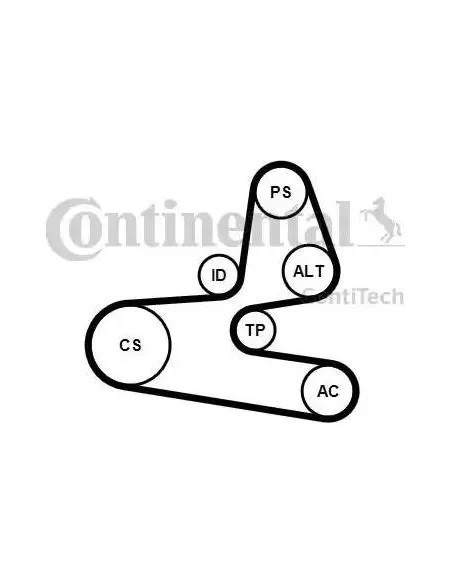Correa auxiliar Poly-V Continental 6PK1564K1 6 canales 1564 mm