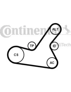 Juego de correas trapeciales poli V