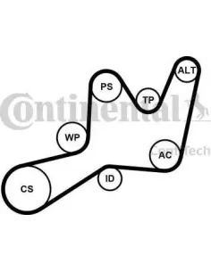 Juego de correas trapeciales poli V