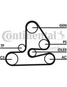 Juego de correas trapeciales poli V