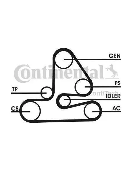 Correa auxiliar Poly-V Continental 6PK1613D1 6 canales 1613 mm