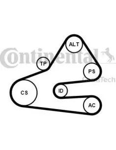 Juego de correas trapeciales poli V