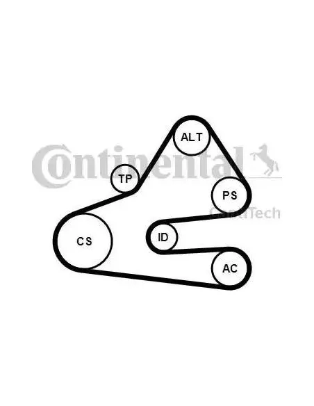 Correa auxiliar Poly-V Continental 6PK1613K1 6 canales 1613 mm