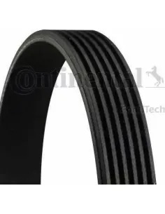 Correa poli-V Dayco 6PK1623 6 canales 1623 mm
