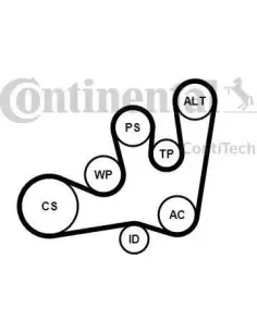 Juego de correas trapeciales poli V