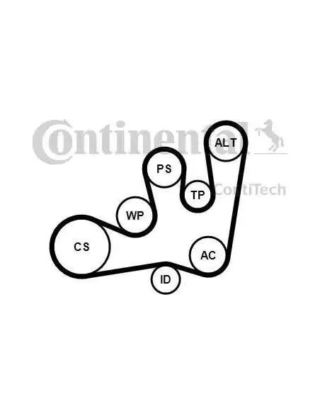 Correa auxiliar Poly-V Continental 6PK1642K1 6 canales 1642 mm