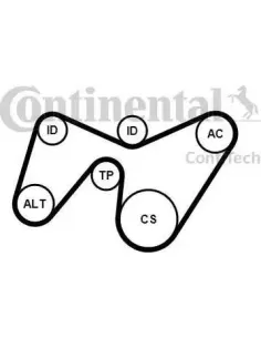 Juego de correas trapeciales poli V