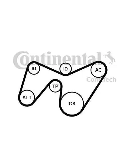 Correa auxiliar Poly-V Continental 6PK1642K2 6 canales 1642 mm