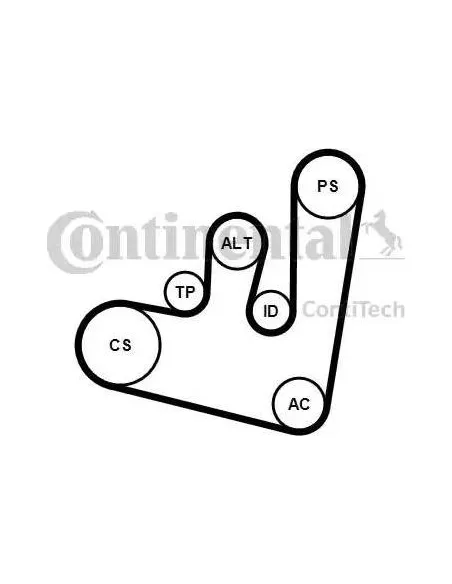 Correa auxiliar Poly-V Continental 6PK1660K2 6 canales 1660 mm