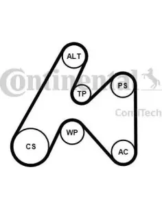 Juego de correas trapeciales poli V