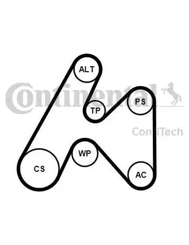 Juego de correas trapeciales poli V