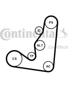 Juego de correas trapeciales poli V