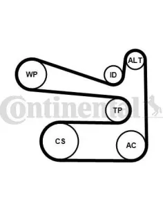 Juego de correas trapeciales poli V
