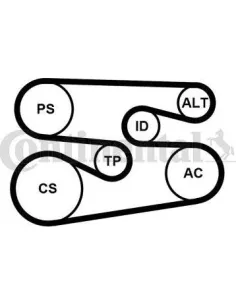 Juego de correas trapeciales poli V