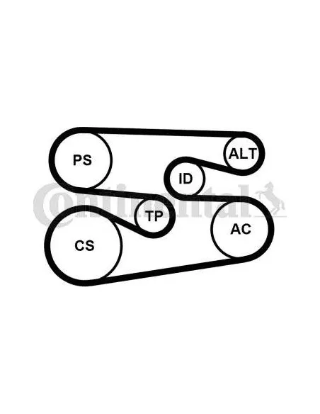 Correa auxiliar Poly-V Continental 6PK1698K1 6 canales 1698 mm