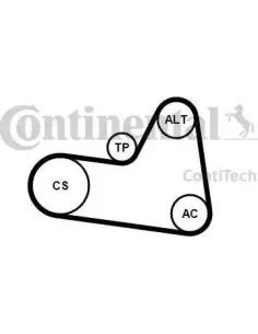 Juego de correas trapeciales poli V