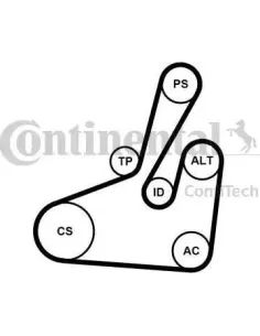 Juego de correas trapeciales poli V