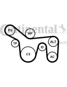 Juego de correas trapeciales poli V