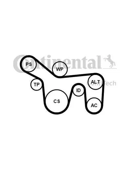 Correa auxiliar Poly-V Continental 6PK1715K1 6 canales 1715 mm