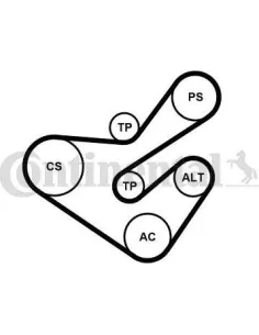 Juego de correas trapeciales poli V