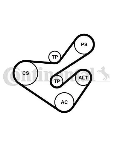 Juego de correas trapeciales poli V