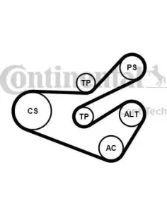 Juego de correas trapeciales poli V