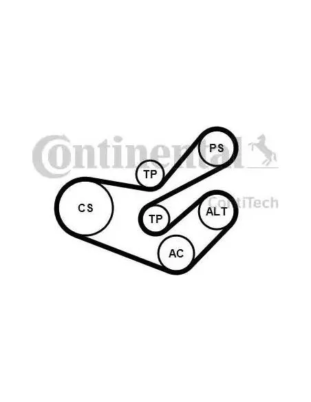 Correa auxiliar Poly-V Continental 6PK1750K3 6 canales 1750 mm