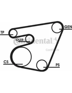 Juego de correas trapeciales poli V