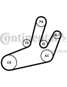 Juego de correas trapeciales poli V
