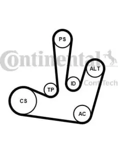 Juego de correas trapeciales poli V