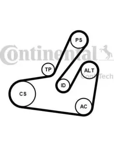 Juego de correas trapeciales poli V