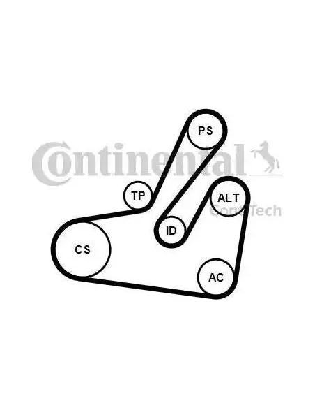 Correa auxiliar Poly-V Continental 6PK1795K2 6 canales 1795 mm