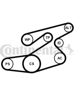 Juego de correas trapeciales poli V