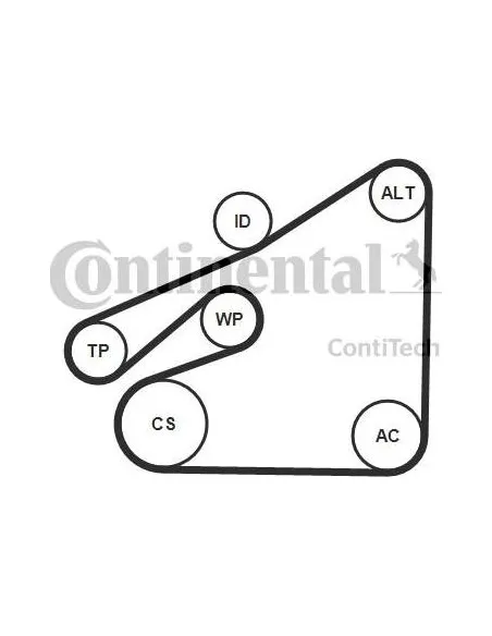 Correa auxiliar Poly-V Continental 6PK1840K1 6 canales 1840 mm