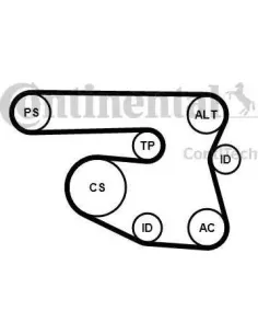 Juego de correas trapeciales poli V