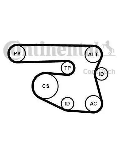 Juego de correas trapeciales poli V