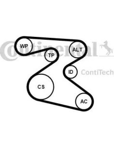 Juego de correas trapeciales poli V