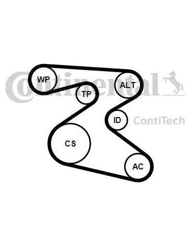 Juego de correas trapeciales poli V