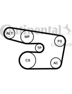 Juego de correas trapeciales poli V