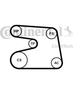 Juego de correas trapeciales poli V