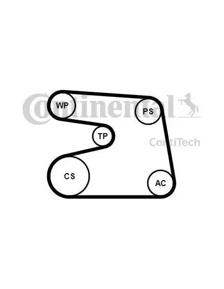 Correa auxiliar Poly-V Continental 6PK1873K4 6 canales 1873 mm