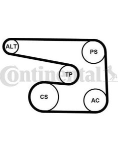 Juego de correas trapeciales poli V