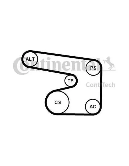 Correa auxiliar Poly-V Continental 6PK1900K1 6 canales 1900 mm