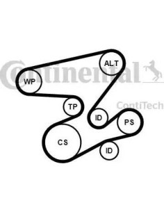 Juego de correas trapeciales poli V